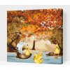 Vymalujsisam.sk Maľovanie podľa čísiel - Kačiatka na výlete Veľkosť: 50x50cm, Rám: Na kartónovej doske