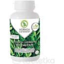 Moringa Caribbean Bio Calcium 120 kapsúl