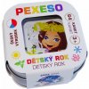 Pexeso Dětský rok