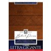 Santa Biblia de Promesas Reina-Valera 1960 / Letra Gigante - 13 Puntos / Piel Especial / Café // Spanish Promise Bible Rvr60 / Giant Print - 13 Points