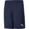 Puma teamRISE Training Shorts