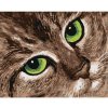Diamondi Diamantové maľovanie - MAČKA A ZELENÉ OČI Rámovanie: bez rámu a bez vypnutia plátna, Rozmer: 40x50 cm