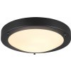 TRIO 6801011-32 CONDUS stropné svietidlo D315mm 1xE27 IP44 matná čierna
