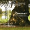 Various - Čarohraní / Z kořenů moravského folklóru [CD]