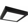 Greenlux | LED Stropné svietidlo FENIX LED/12W/230V 3800K 17 cm | GXDW364