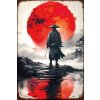 Ceduľa Japan Samurai 30cm x 20cm Plechová tabuľa