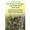 introduction to The Ocelot and Margay and Other Rare Wild Cats Including Caracal, Clouded Leopard, Black Footed Cat, Fishing Cat and Iberian Lynx