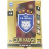 ULSAN HD FC 2025 CLUB BADGE PANINI FIFA 365 ADRENALYN XL #208