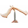 Figúrka Brainstorm Toys Úžasný balansujúci Pteranodon