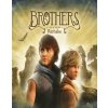 Brothers A Tale of Two Sons Remake