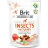 Brit Care Dog Insects with Turkey & Apples 200 g