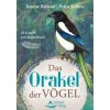 Das Orakel der Vögel (Petra Kühne)(Brožovaná)