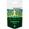 Cannastra THCX Flower Supernova, 1 g - 100 g 5 gramov