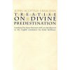 Treatise on Divine Predestination (Johannes Scottus Eriugena)(Brožovaná)