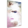 Vertikálny foto obraz akrylový Abstrakcie žena 50x100 cm