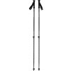 Palice Black Diamond EXPLORER 2 TREKKING POLES