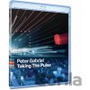 Peter Gabriel: Taking The Pulse / Live In Verona - Peter Gabriel, Peter Gabriel