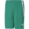 Pánske šortky Puma, TEAM LIGA SHORTS Zelená,Biela S