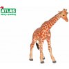 Atlas D Žirafa 12cm