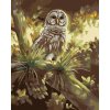 zuty Zuty - Maľovanie Podľa Čísel - Sova Na Strome (D. Rusty Rust), 40X50 Cm, Plátno (8596530183006)