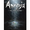 Amnesia: Pád do temnoty Steam PC