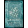 Labyrinth - Kate Mosse, Orion Books