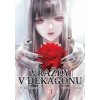 Vraždy v Dekagonu - Jukito Ajacudži, Hiro Kijohara