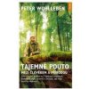 Tajemné pouto mezi člověkem a přírodou - - Wohlleben Peter