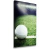 Vertikálny foto obraz na plátne Ragby lopta 50x100 cm