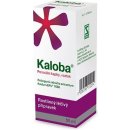 Kaloba sirup sir. 1 x 100 ml