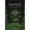 Zaklínač VI.: Veža lastovičky - Andrzej Sapkowski