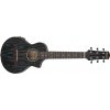 Ibanez EWP16EWB-GAO