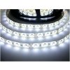 LED pásik 4.8W, 60 LED, Zaliaty IP 50 - Studená biela