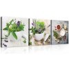 Obrazy - Triptych DO KUCHYNE Bylinky Koreniny - 3 Diely