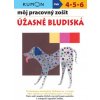 Úžasné bludiská - Môj pracovný zošit (Kolektív autorov)