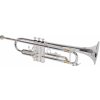 SOUNDSATION STPSL-10