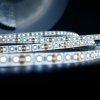 Modee LED pás 5m DC12V 9,6W studená biela (MLLS12V44W120L )