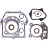 Sada tesnení motora Briggs & Stratton série 450E 500E 550E 550EX 575EX 600E 625E (OEM 595350 592640 590590)