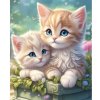 Diamantový obraz Dve mačiatka