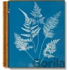 Anna Atkins. Cyanotypes - Peter Walther