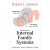 Introduction to Internal Family Systems (Richard Schwartz)(Brožovaná)