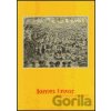 James Ensor - Vizionář moderny - Galerie výtvarného umění v Chebu