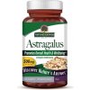 Nature's Answer Astragalus, extrakt z koreňa, 500 mg, 60 kapsúl
