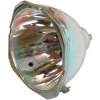 Lampa pre projektor HP mp4800 IPAQ, kompatibilná lampa bez modulu