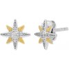 Engelsrufer Trblietavé bicolor náušnice s kubickými zirkónmi Hviezdičky ERE-NSTARZIBIST