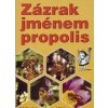 Minedžajan G. Z.: Zázrak jménem propolis (léčení včelími produkty; med, mateří kašička, pyl; léčení propolisem a včelím jedem; antibiotické účinky propolisu; receptář ( 116 str. B5) (vydání Eko-konzul