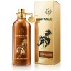 Montale Paris Arabians Musk EDP 100 ml (unisex)