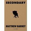 MATTHEW BARNEY SECONDARY (BANKS ERIC)(Pevná)