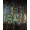 Komar Vliesová fototapeta Dark Wings 200 x 250 cm