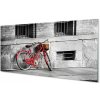 Obraz plexi Červené koleso s košíkom 100x50 cm